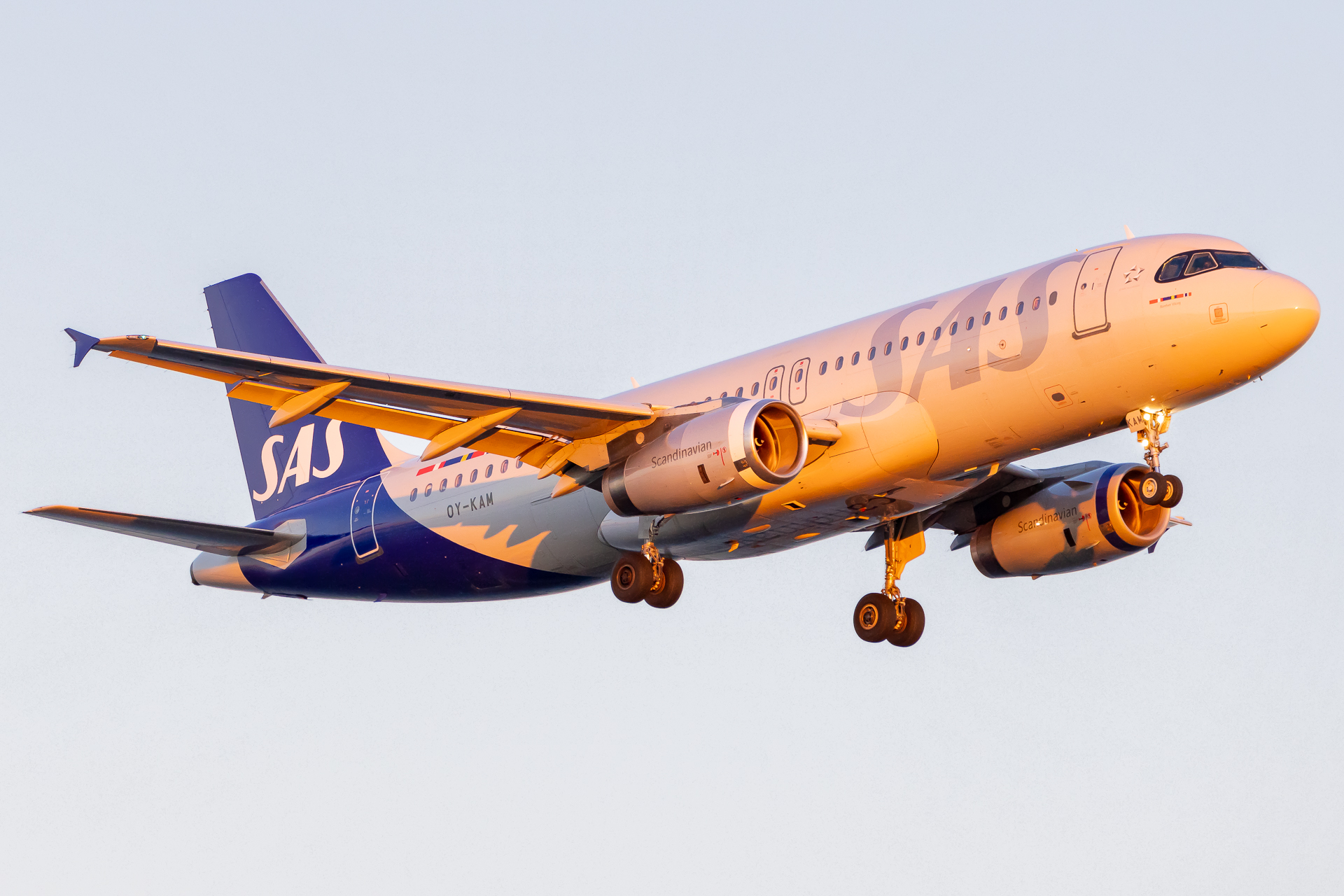 SAS announces even more routes for the summer of 2024